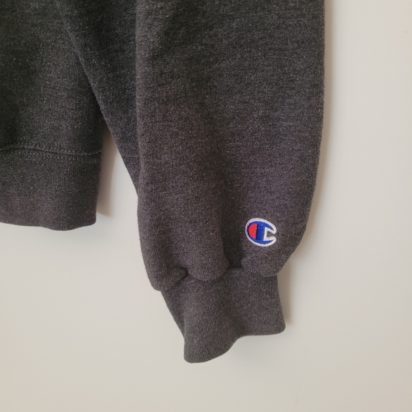 CHAMPION Harvard Hoodie Size M Gray Sweatshirt Academia Preppy Collegiate - Picture 5 of 12